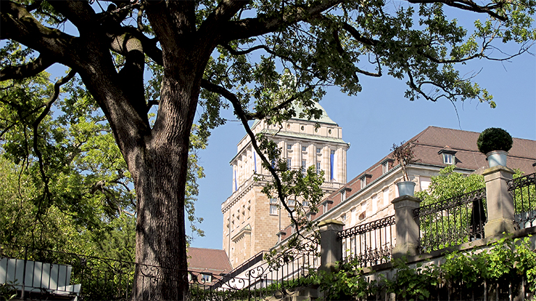 View of the tower of the main building through the branches of a tree