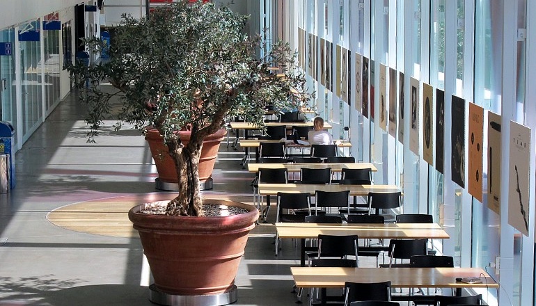 Big potted plants and seating in a study hall